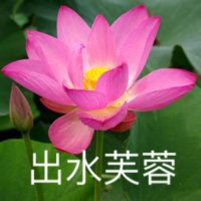 林占熺：让“中国草”开出“幸福花”